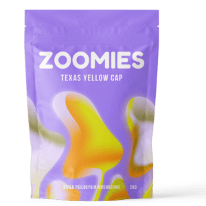 Texas Yellow Cap | Mushrooms Canada