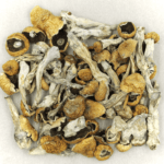 Orissa | Mushroom Canada