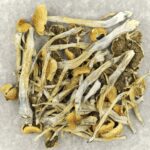 Trinity | Mushroom Canada
