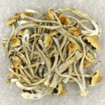 Hautla | Mushroom Canada