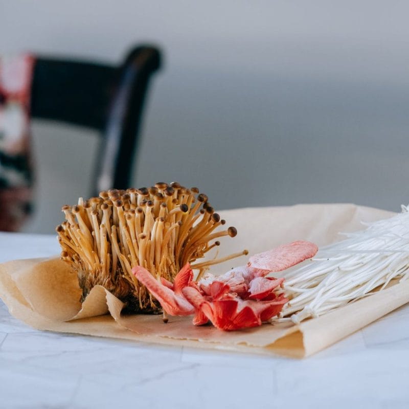 Buy Shrooms Online Canada (1) | Mushroom Canada