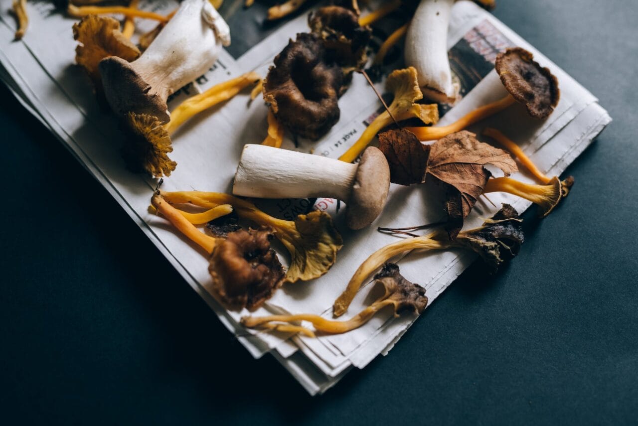 Is It a Good Idea to Pair Shrooms with Chocolate?