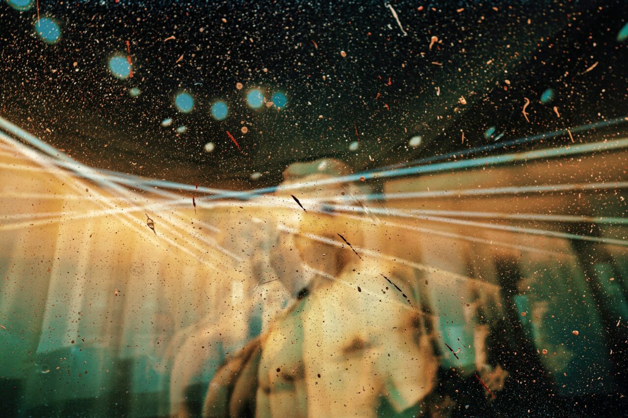 Canadian Doctor Experiments with His Brain on Magic Mushrooms: ‘I Plunged into Bizarre Realms’